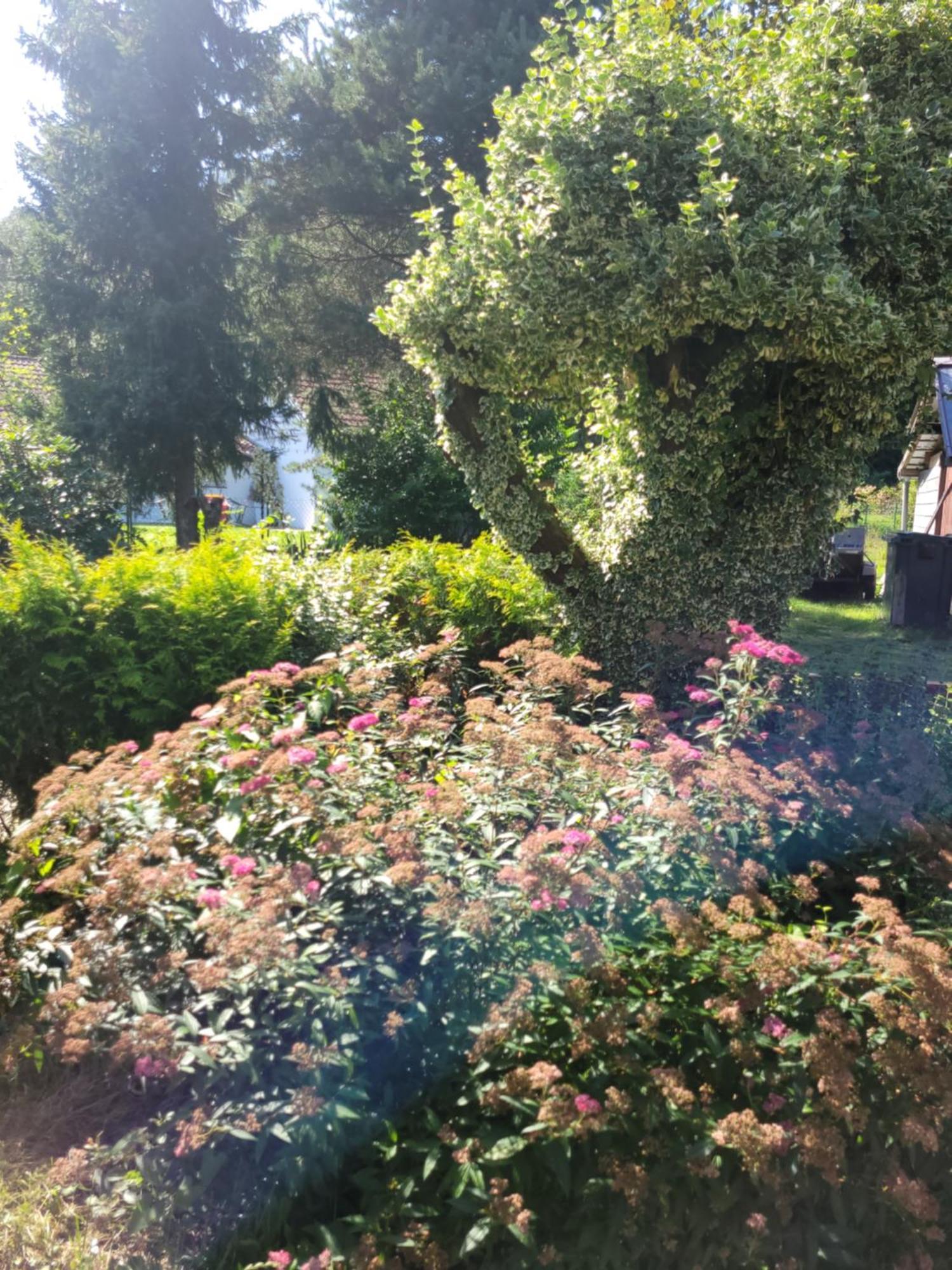 Holiday home Les Grandes Voies - Cle Le Menil